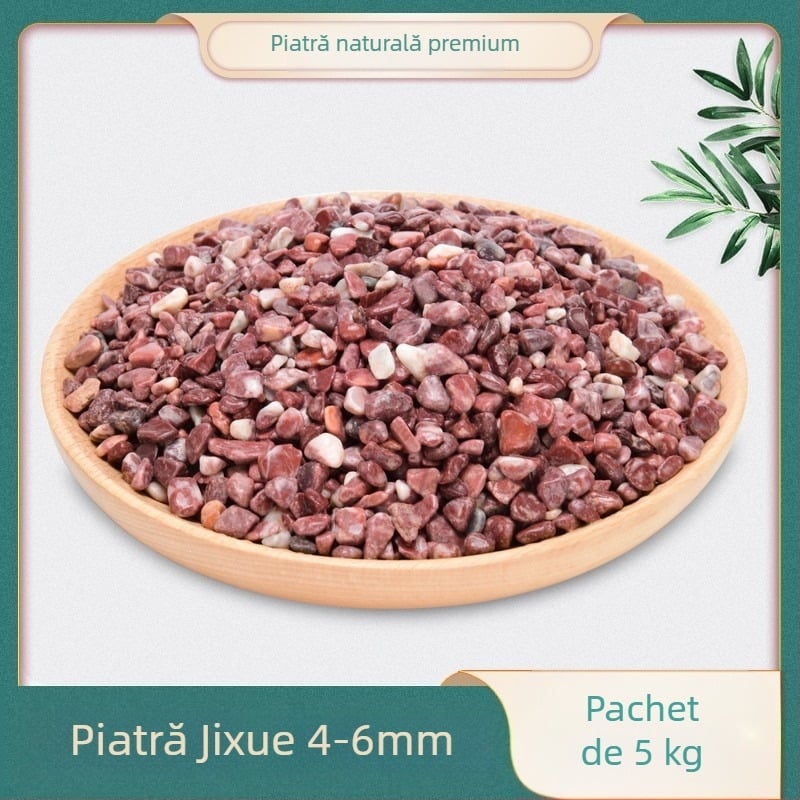 Decorațiune pentru peisaj de acvariu cu pietre naturale Rain Flower, pietriș și aranjamente cu suculente și plante în ghivece