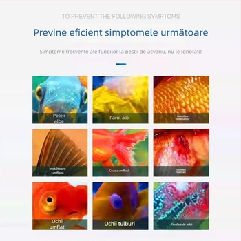 Golden Lion Sare de mare pentru acvariu – Sare minerală pentru pești ornamentali, echipament pentru acvariu