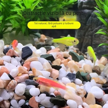 Substrat din nisip de cuarț pentru acvarii — pietriș decorativ pentru decorarea acvarilor și terariilor