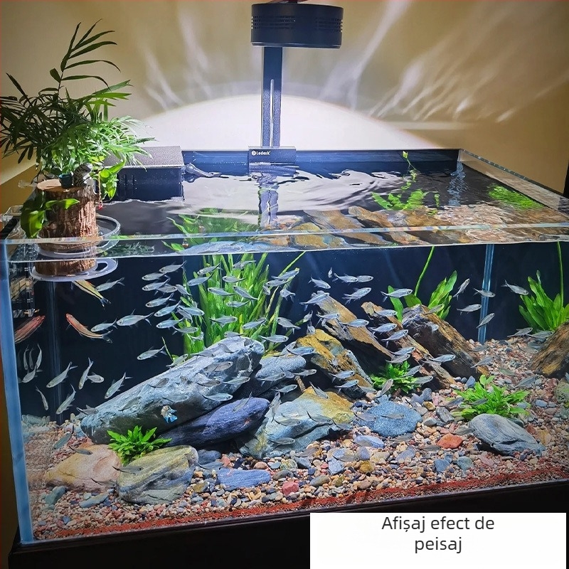 Set de pietre pentru amenajarea acvariumului: pietre de râu native, pietre stivuite, nisip de fund | Stil mini, 2,5 kg