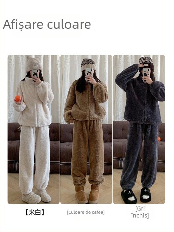 Set de pijamale pentru femei, două piese, cu căptușeală fleece, guler înalt, croială lejeră, stil coreean, țesătură velur dublu față, 95% poliester