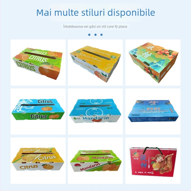 Cutie de transport pentru fructe și legume pentru distanțe lungi – plastic PE, respirabilă, dimensiuni interioare și exterioare personalizabile, încărcătură 20–120 kg