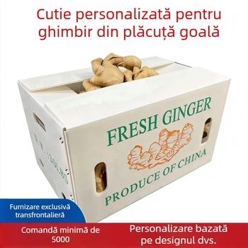 Cutie turnover PP cu panou gol pentru ghimbir și legume – Rezistență înaltă, Turnare prin injecție, Grosime perete 3 mm, Capacitate de încărcare 50 kg, Personalizabil