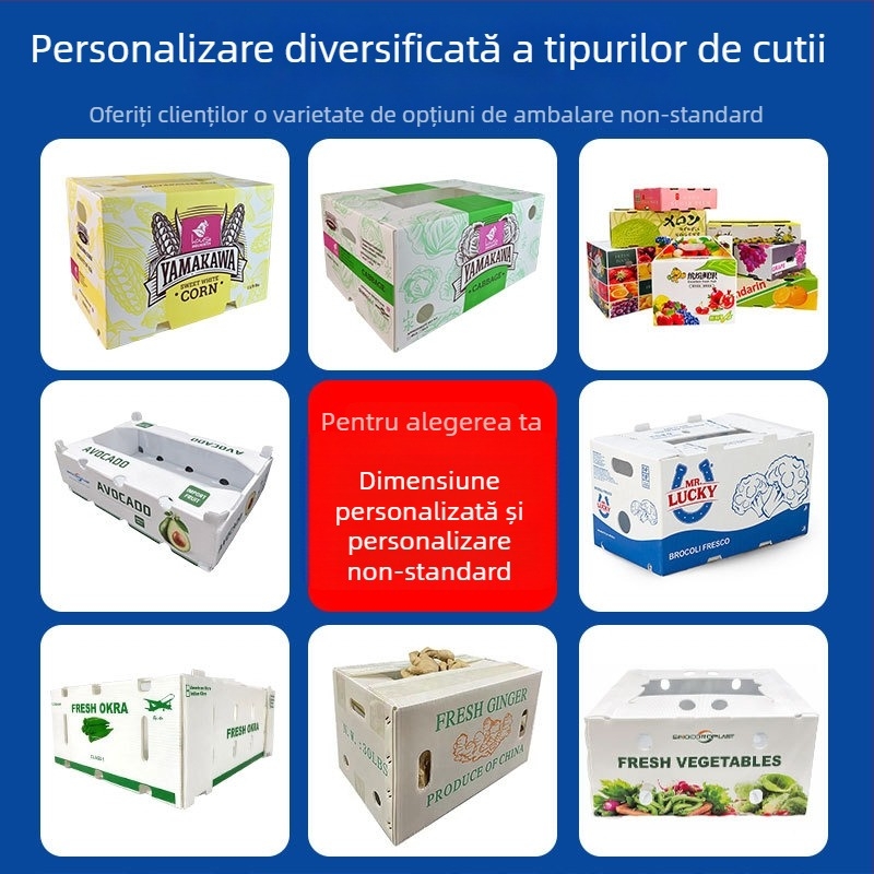 Cutie turnover PP cu panou gol pentru ghimbir și legume – Rezistență înaltă, Turnare prin injecție, Grosime perete 3 mm, Capacitate de încărcare 50 kg, Personalizabil