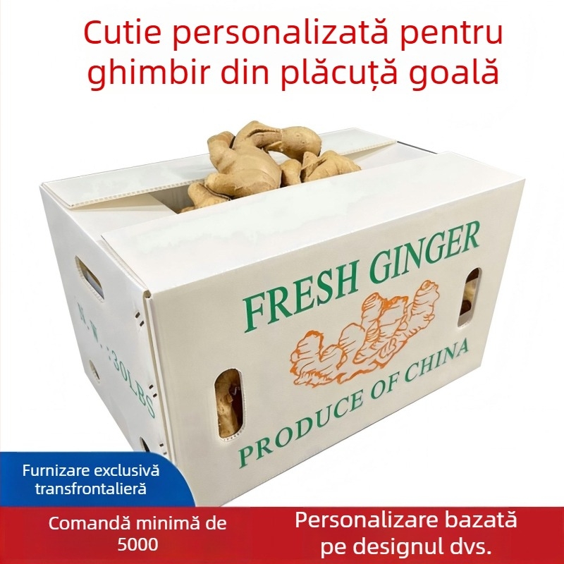 Cutie turnover PP cu panou gol pentru ghimbir și legume – Rezistență înaltă, Turnare prin injecție, Grosime perete 3 mm, Capacitate de încărcare 50 kg, Personalizabil