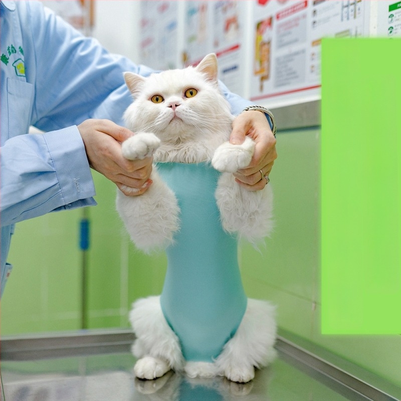 Îmbrăcăminte postoperatorie pentru pisici și câini – protecție anti-lick/anti-bite, bumbac, PAWLUX, stil lejer