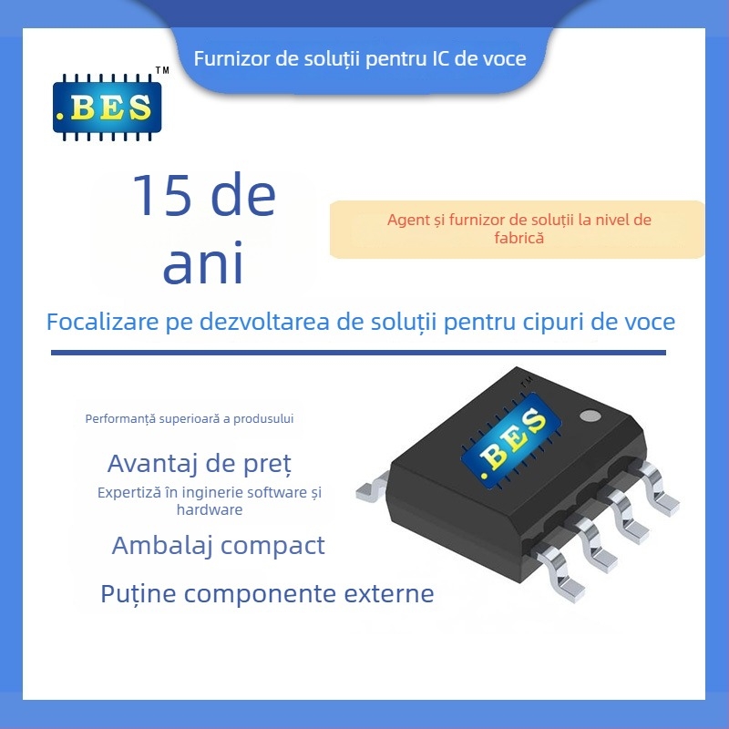 Placă de circuite pentru Walkie-Talkie 2.4G Bes24190 (4.5V, 20mA, capacitate 3.0 milioane, compatibil cu walkie-talkie pentru copii 2.4G)