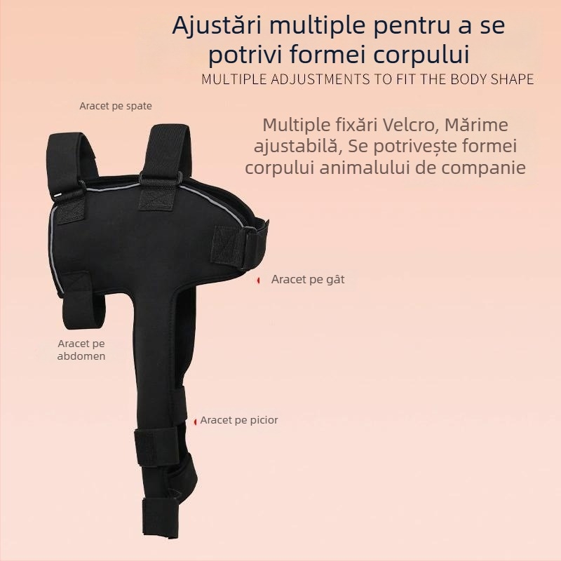 Protecție pentru umeri pentru animale de companie — susținerea articulațiilor membrelor anterioare la câinii în vârstă