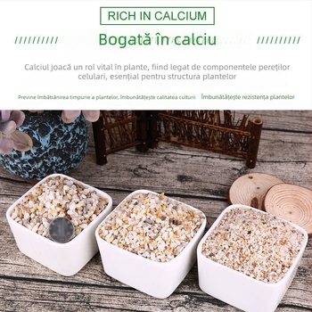 Nisip pentru fundul acvariului – nisip natural cristal, nisip de râu grosier, peisaj stâncos pentru decorarea acvariului