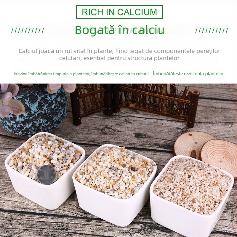 Nisip pentru fundul acvariului – nisip natural cristal, nisip de râu grosier, peisaj stâncos pentru decorarea acvariului