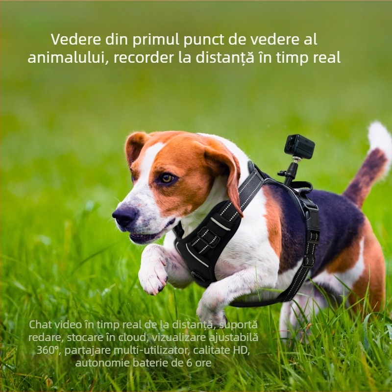 Cameră pentru animale de companie 4G cu curea/guler – 2MP, vedere nocturnă, rază de până la 10 m, microSD până la 128 GB, compatibil Android și iOS