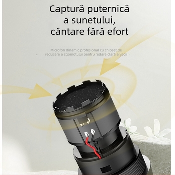 Microfon wireless reîncărcabil pentru karaoke acasă | sistem 1 la 2 | baterie detașabilă 500–800 mAh | autonomie 8–12 h | SNR ≥70 dB | bobină în mișcare