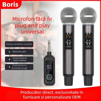 Microfon de mână KTV pentru karaoke, cablat, 2 canale dinamice, 220V (2 canale, dinamice, cablat, 220V)