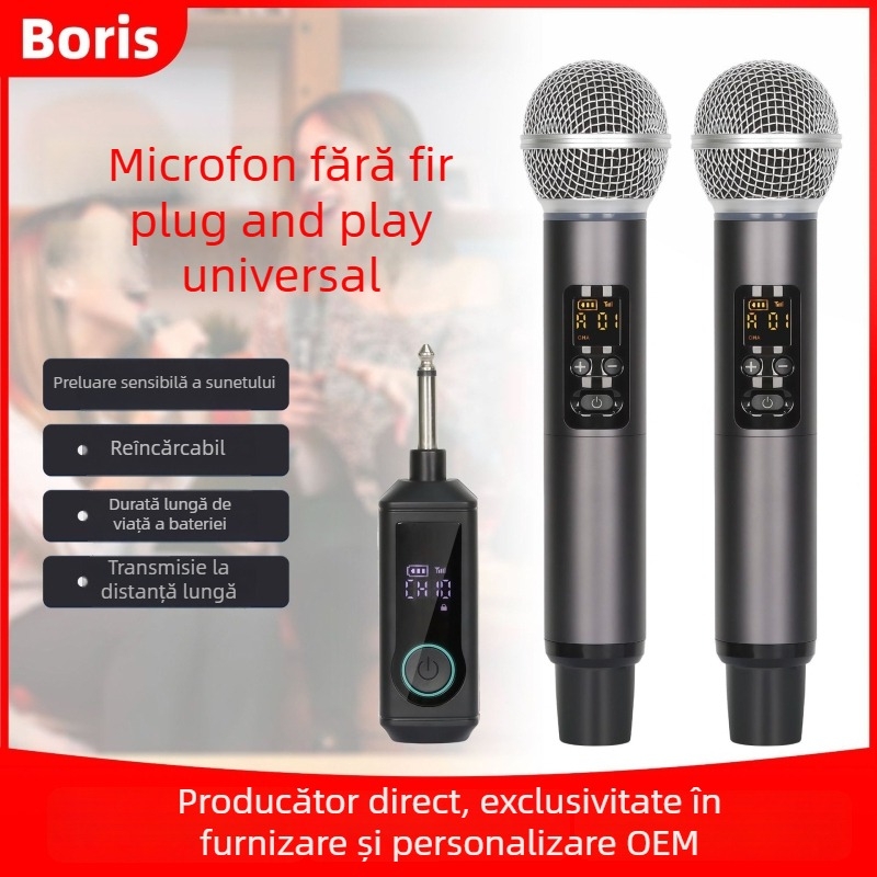 Microfon de mână KTV pentru karaoke, cablat, 2 canale dinamice, 220V (2 canale, dinamice, cablat, 220V)