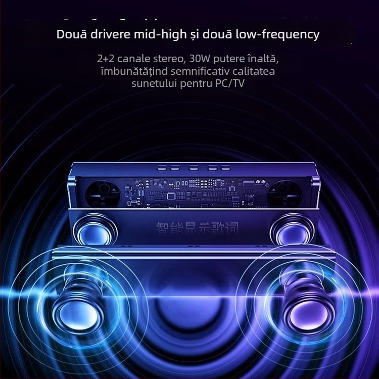 Sistem de boxe Bluetooth pentru karaoke K100, cu două difuzoare, Bluetooth 5.3, 30W, baterie încorporată 4000–6000 mAh, interval de frecvență 100 Hz–20 kHz, SNR ≥75 dB