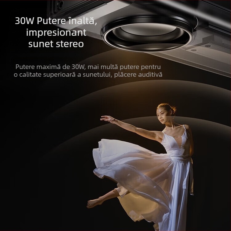 Sistem de boxe Bluetooth pentru karaoke K100, cu două difuzoare, Bluetooth 5.3, 30W, baterie încorporată 4000–6000 mAh, interval de frecvență 100 Hz–20 kHz, SNR ≥75 dB