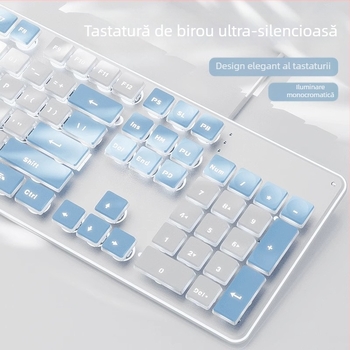 Set tastatură și mouse, silențios, cu fir, USB, 1600 DPI, iluminare, ergonomic, pentru casă/birou/jocuri