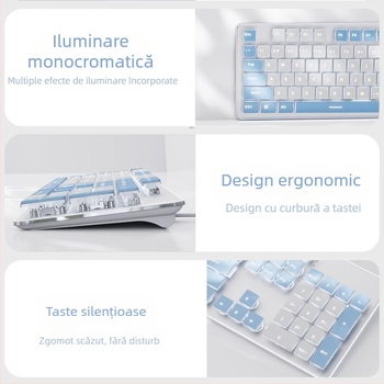 Set tastatură și mouse, silențios, cu fir, USB, 1600 DPI, iluminare, ergonomic, pentru casă/birou/jocuri