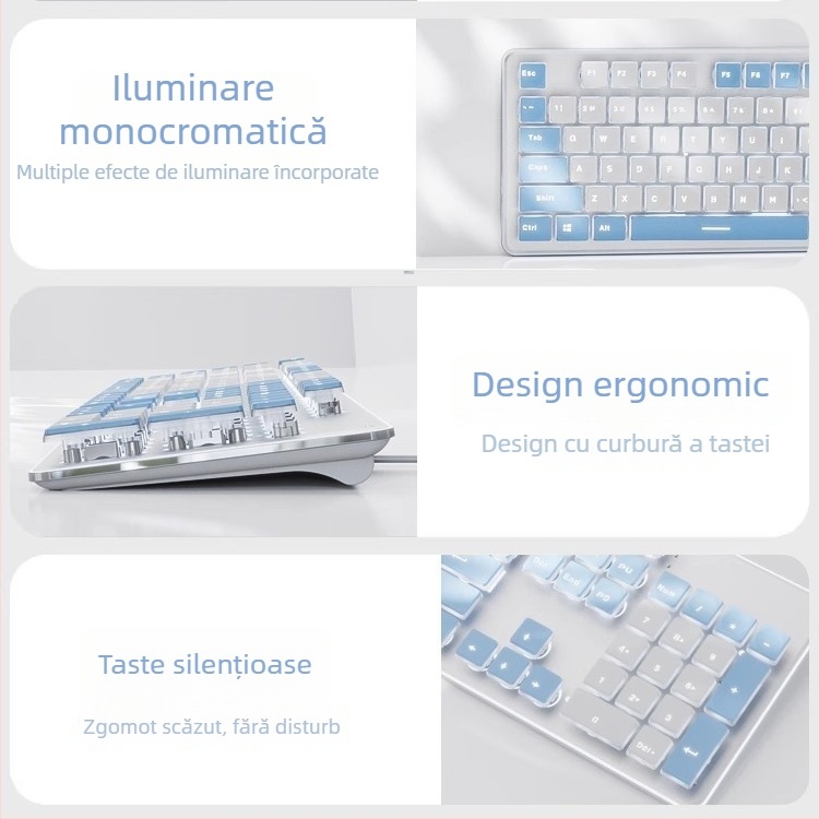 Set tastatură și mouse, silențios, cu fir, USB, 1600 DPI, iluminare, ergonomic, pentru casă/birou/jocuri