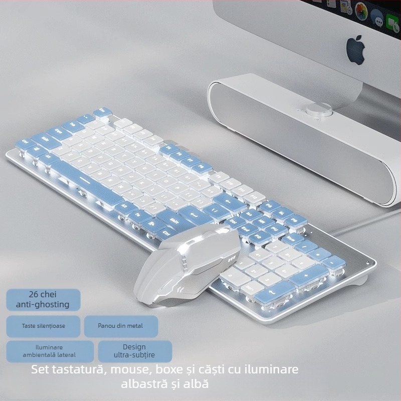 Set tastatură și mouse, silențios, cu fir, USB, 1600 DPI, iluminare, ergonomic, pentru casă/birou/jocuri