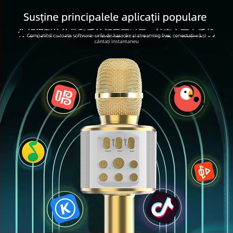 Sistem audio karaoke wireless all-in-one cu microfon, model Q98, Bluetooth 5.0, 5 W, răspuns în frecvență 100 Hz–20 kHz, baterie 1000–1200 mAh