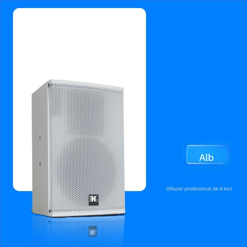 Wert 1002 amplificator/set – 200–300W, 2 canale, 2 difuzoare