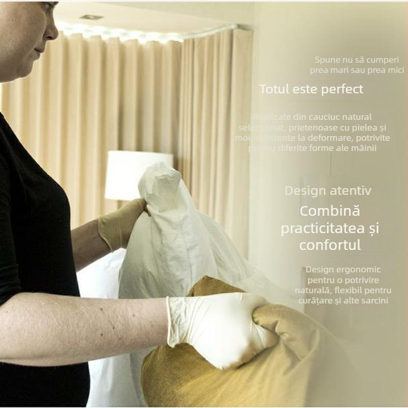 Mănuși de unică folosință Ammex, 10 cutii pe carton, pentru producție industrială, laboratoare, curățenie și protecție personală.