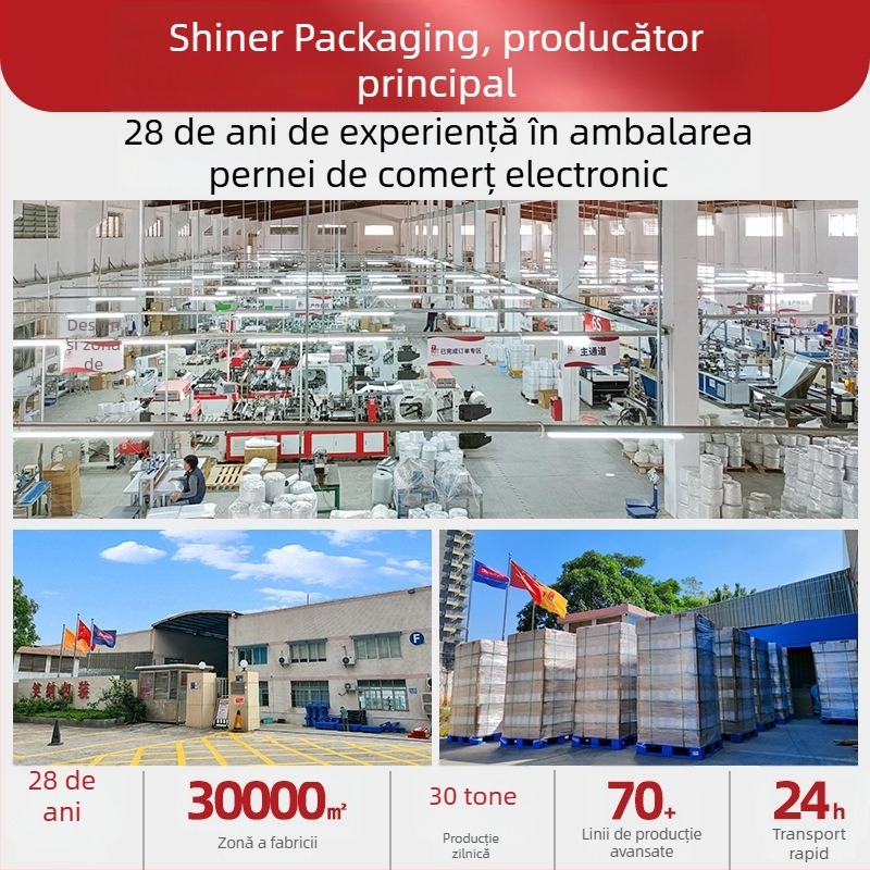 Suport aer pentru vârf de pantof — anti-deformare, potrivit pentru diferite pantofi și genți, design de husă personalizat și siglă de marcă