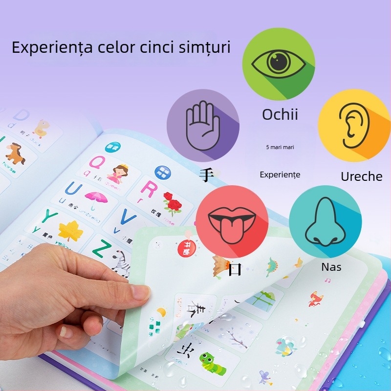 Carte audio educațională vorbitoare pentru primii ani și dispozitiv de citire cu puncte, electric, reîncărcabil, baterie litiu, pentru 4–6 ani, memorie sub 1 g