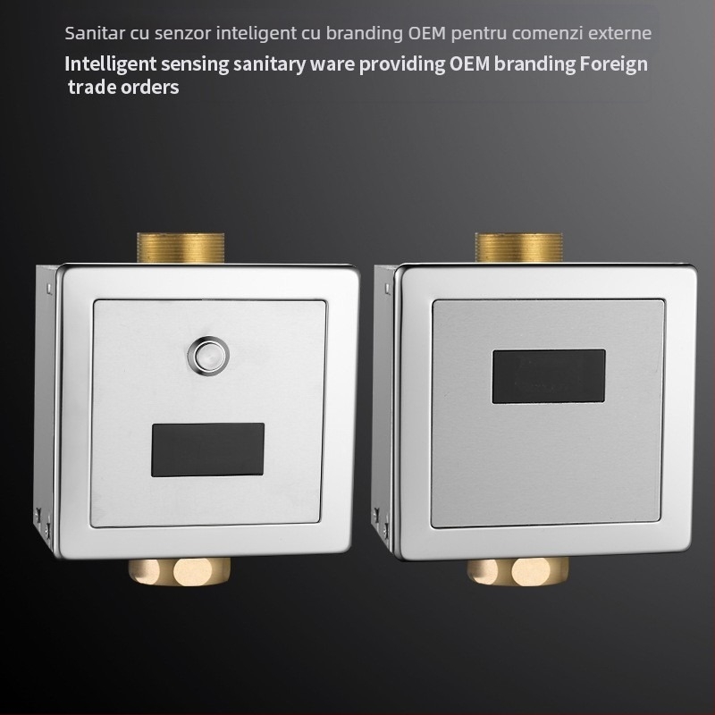 Valvă senzor pentru spălarea unei toalete în podea, montaj ascuns, oțel inoxidabil, modelul 481, stil modern minimalist