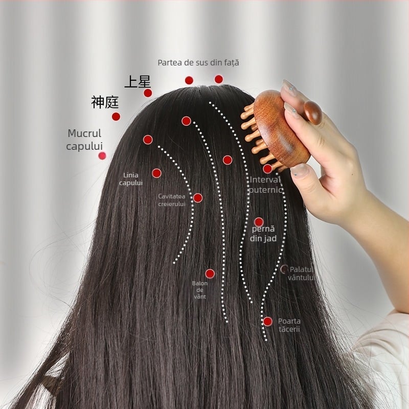 Pieptan masaj din lemn cu disc pentru scalp și foliculii părului, îngrijire păr