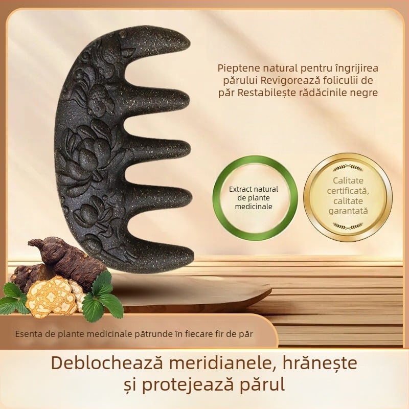 Pieptene din lemn cu Polygonum multiflorum pentru masajul scalpului și stimularea meridianelor – Medicina tradițională chineză