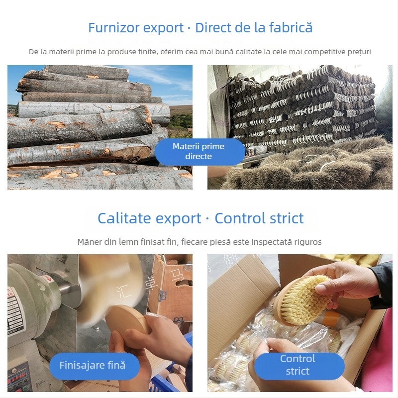 Perie pentru pantofi cu mâner curbat din lemn fag (clasa A) și peri din păr de cal pentru Îngrijire și dezinfectare a pielăriei; opțiuni de personalizare