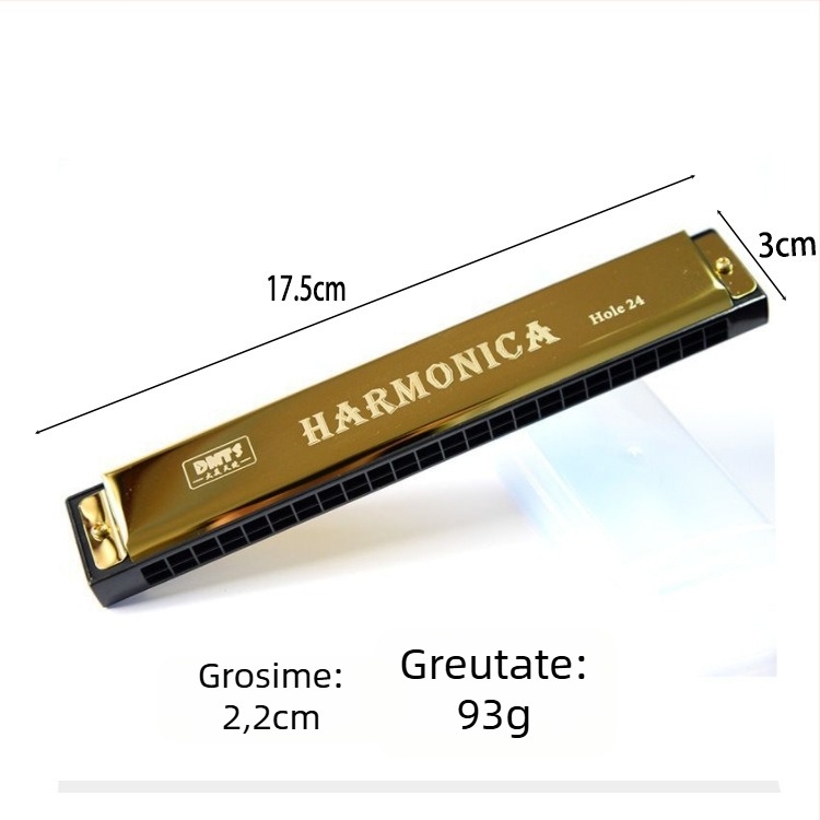 Armonică metalică pentru copii, cromatică, cu 24 de găuri, două rânduri, capac cromat din cupru