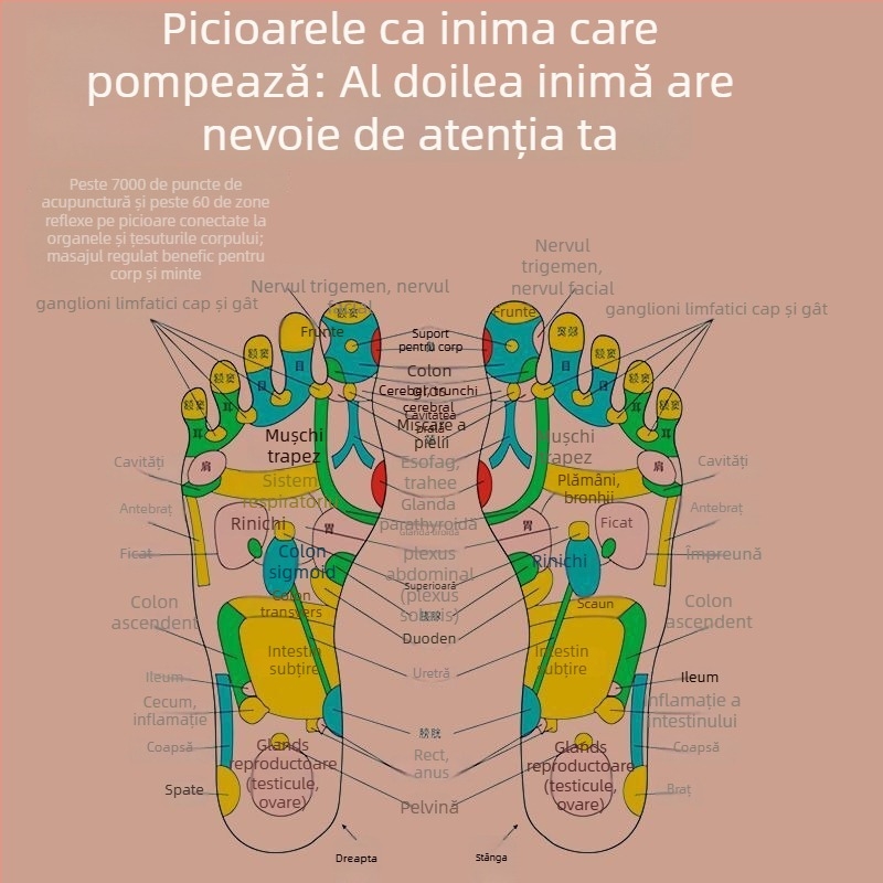 Papuci de masaj pentru picioare cu masaj prin puncte de acupunctură, alimentare USB/AC, control cablat manual, funcționare mecanică
