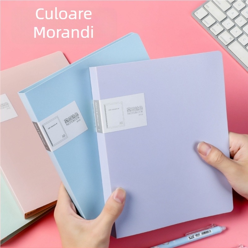 Caiet de studiu cu foi detașabile, nucleu detașabil (B5, 60 de pagini, găuri 26/20)