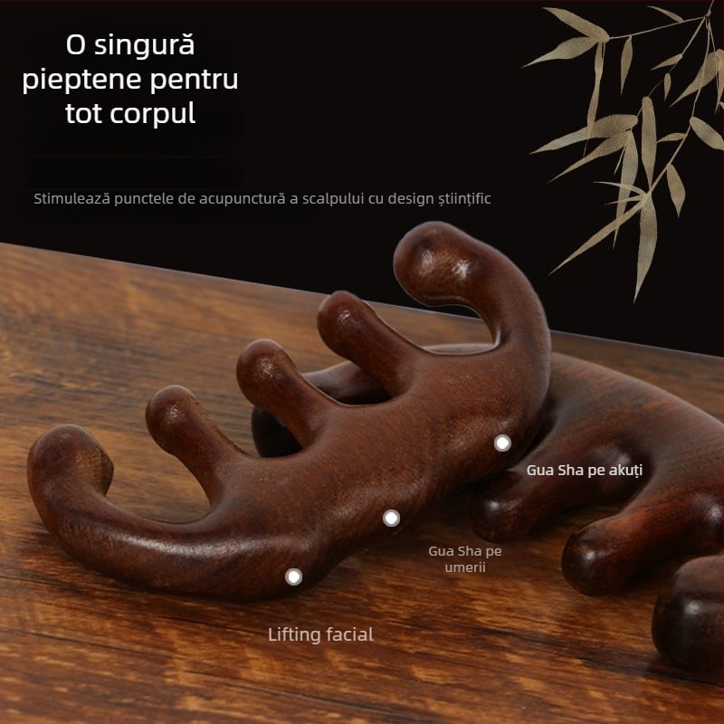 Pieptene din lemn pentru masajul scalpului, cu cap rotund și dinți late, stil japonez