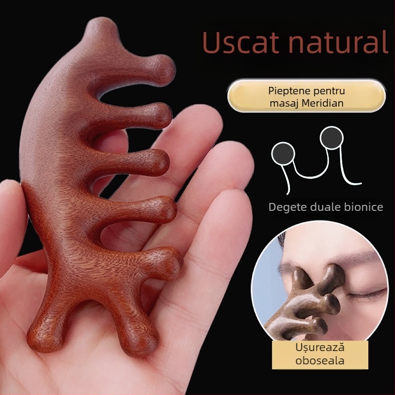 Pieptene din lemn pentru masajul scalpului, cu cap rotund și dinți late, stil japonez