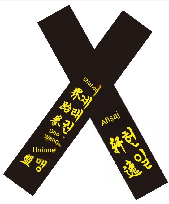 Centură Taekwondo pentru adulți cu nume brodat și gravură – țesătură din bumbac 85% cu căptușeală din amestec de in 85% – potrivită pentru Taekwondo