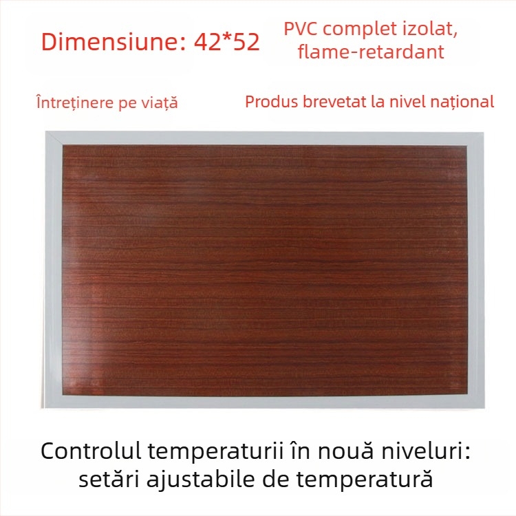 Talpă încălzită din piele naturală, alimentare USB, plug-in, papuci de casă unisex