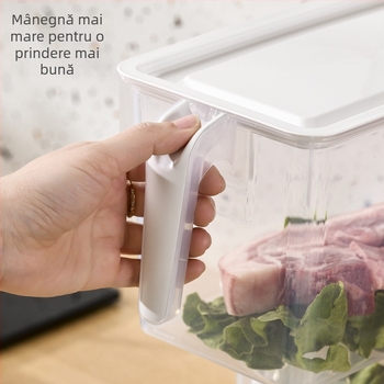 Cutie de depozitare pentru frigider – plastic alimentar, păstrarea prospețimii, depozitare pentru ouă și legume, potrivită pentru congelare