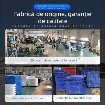 Cutii plastice cu panouri goale, pliabile, personalizabile pentru transport, depozitare și mutare