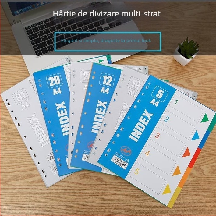 Dosar cu 20 găuri de indexare, pagini interioare PP, 30 coli, imprimare siglă disponibilă