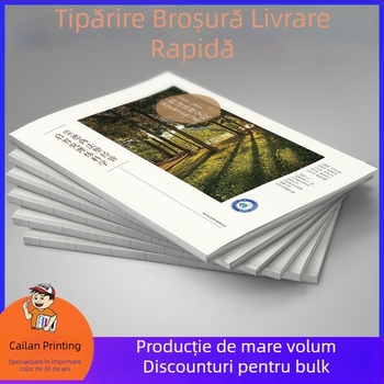Prospect promoțional imprimat pe hârtie lucioasă, imprimare prin gravură, format deschis 24, legare adezivă, imprimare logo