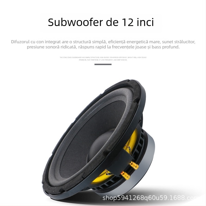 Difuzor profesional BMB CSD-2000 pentru sală, casă, KTV, conferințe și sală de dans; compatibilitate universală; imprimare logo disponibil.