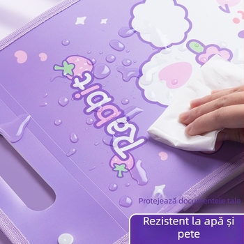 Kaba Bear KBX-7049 Organizator de fișiere portabil pentru elevi, din plastic, 12 buzunare, geantă de depozitare pentru lucrări de test