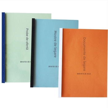 100 benzi de legare a documentelor, benzi de margine cu 10 găuri, plastic, grosime 5 mm