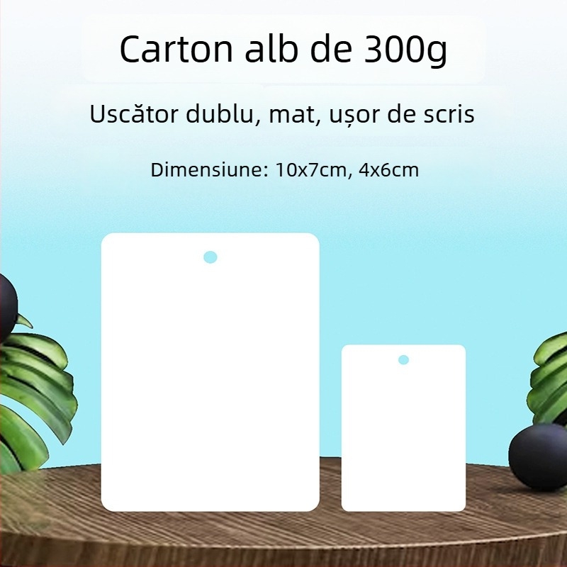 Etichetă goală pentru agățat și mică etichetă din carton – carton 300 g, perforată, imprimare de acasă pentru circulația în depozitul fabricii și înregistrări scrise de mână
