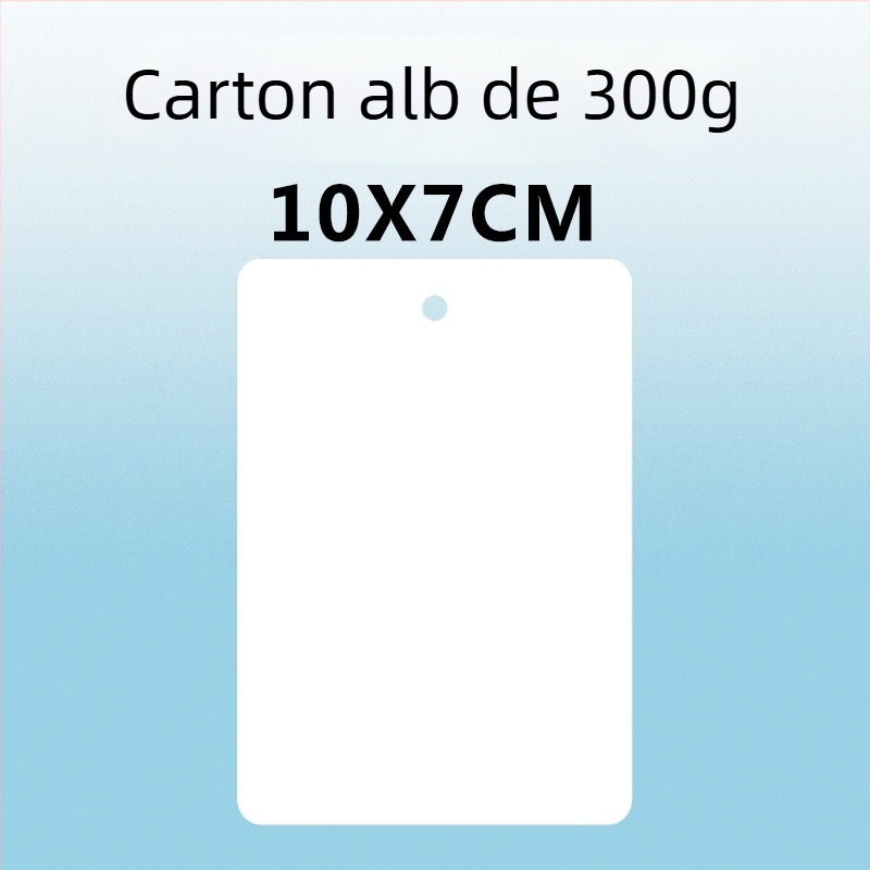 Etichetă goală pentru agățat și mică etichetă din carton – carton 300 g, perforată, imprimare de acasă pentru circulația în depozitul fabricii și înregistrări scrise de mână