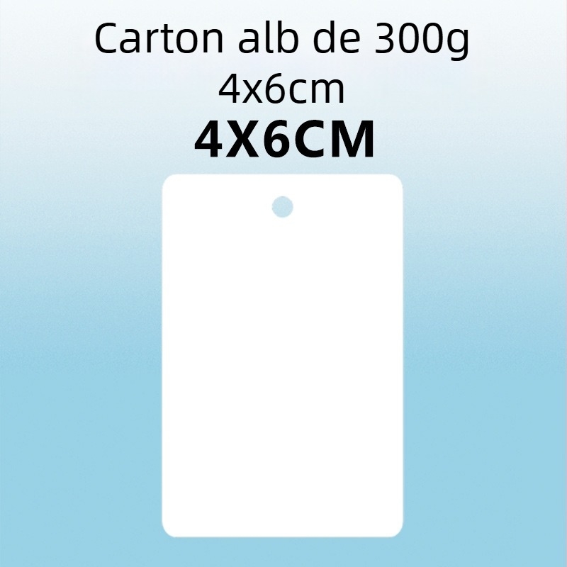 Etichetă goală pentru agățat și mică etichetă din carton – carton 300 g, perforată, imprimare de acasă pentru circulația în depozitul fabricii și înregistrări scrise de mână